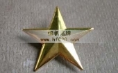 金屬鍍金五角星徽章,五角星胸標,五角星胸針