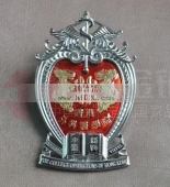 香港外科醫(yī)學院高級徽章,高檔金屬制品,金銀工藝品